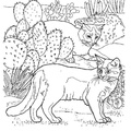 Somali_Cat_Coloring_Pages_003.jpg