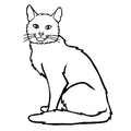Somali_Cat_Coloring_Pages_004.jpg
