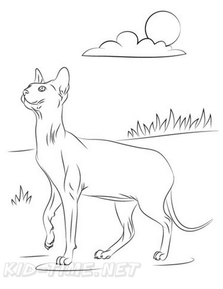 Canadian_Sphynx_Cat_Coloring_Pages_011.jpg