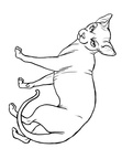 Sphynx Cat Coloring Book Page