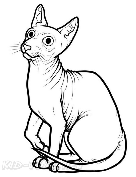 Sphynx_Cat_Coloring_Pages_005.jpg