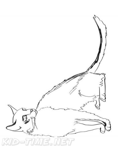 Tonkinese_Cat_Coloring_Pages_002.jpg