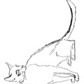Tonkinese Cat Breed Coloring Book Page