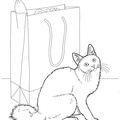 Angora_Cat_Coloring_Pages_001.jpg