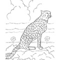 Cheetah_Coloring_Pages_007.jpg