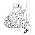 Cheetah_Coloring_Pages_012.jpg