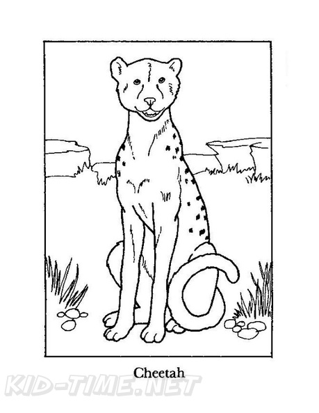 Cheetah_Coloring_Pages_013.jpg