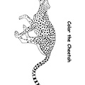 Cheetah_Coloring_Pages_040.jpg
