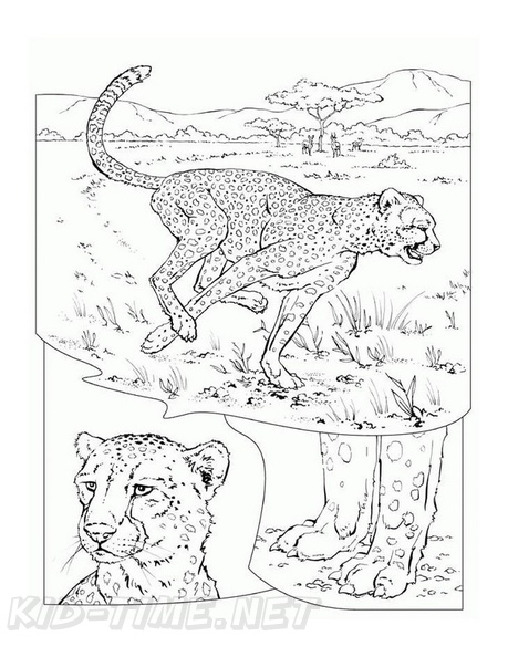 Cheetah_Coloring_Pages_048.jpg