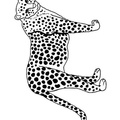Cheetah_Coloring_Pages_061.jpg