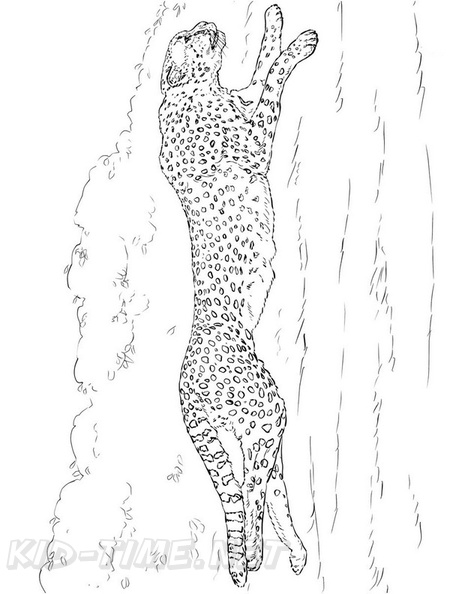 Cheetah_Coloring_Pages_097.jpg