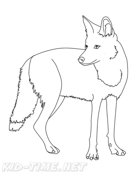 Coyote_Coloring_Pages_003.jpg