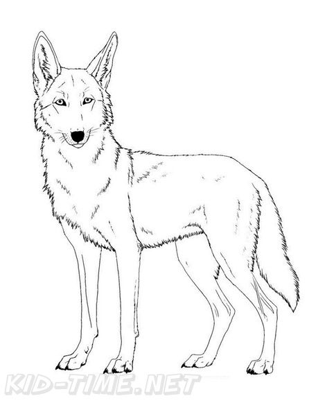 Coyote_Coloring_Pages_008.jpg