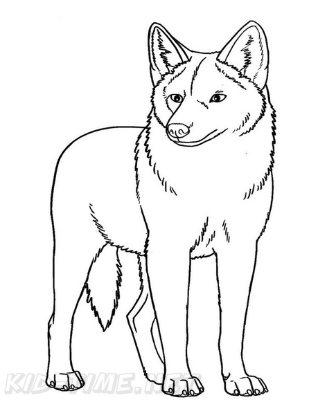 Coyote_Coloring_Pages_016.jpg
