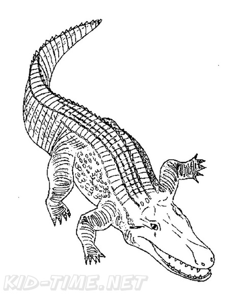 Crocodile_Coloring_Pages_031.jpg