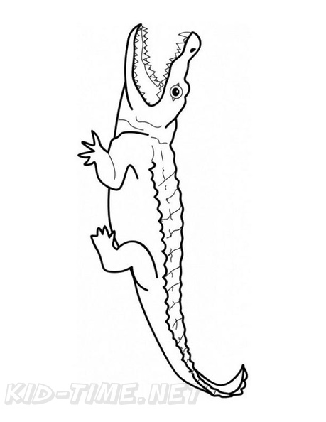 Crocodile_Coloring_Pages_044.jpg