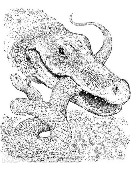 Crocodile_Coloring_Pages_045.jpg