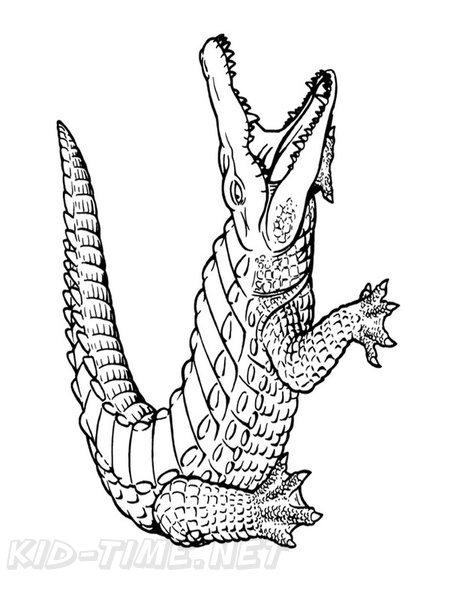 Crocodile_Coloring_Pages_051.jpg