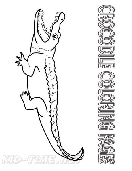 Crocodile_Coloring_Pages_058.jpg