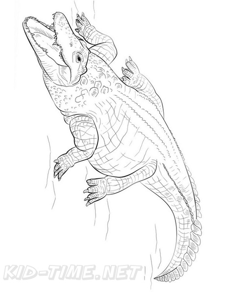 Crocodile_Coloring_Pages_078.jpg