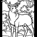 Deer_Coloring_Pages_004.jpg