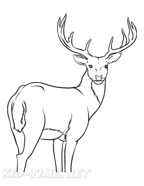 Deer_Coloring_Pages_010.jpg