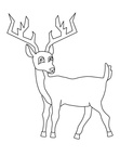 Deer Coloring Pages 016