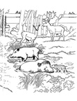 Deer Coloring Pages 034