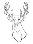 Deer Coloring Pages 045