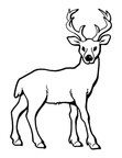 Deer Coloring Pages 058