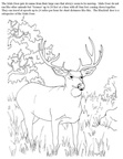 Deer Coloring Pages 090