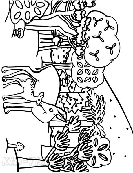 Deer_Family_Coloring_Pages_001.jpg