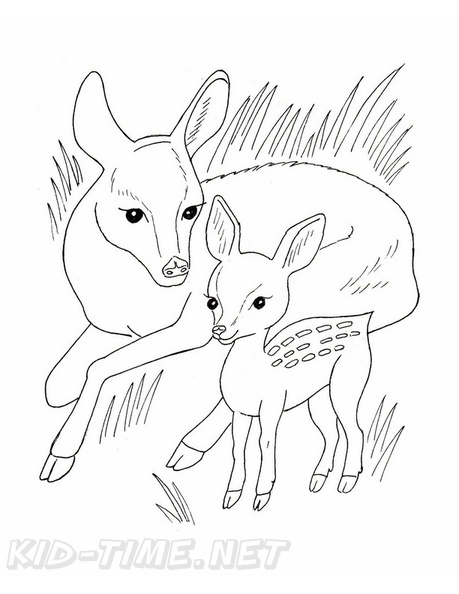 Deer_Family_Coloring_Pages_015.jpg