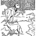 Deer_Family_Coloring_Pages_016.jpg