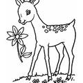 Fawn_Coloring_Pages_003.jpg