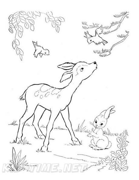 Fawn_Coloring_Pages_008.jpg