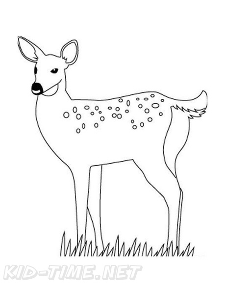 Fawn_Coloring_Pages_036.jpg