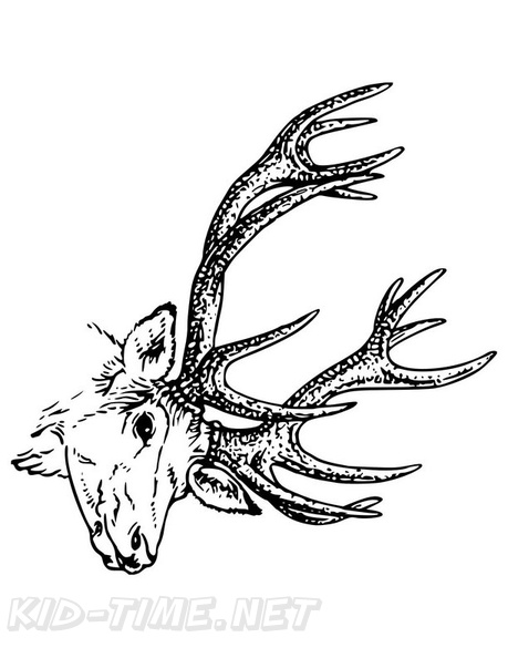 Reindeer_Caribou_Coloring_Pages_032.jpg