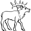Reindeer_Caribou_Coloring_Pages_033.jpg