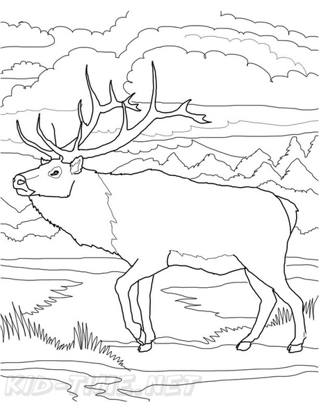 Reindeer_Caribou_Coloring_Pages_036.jpg