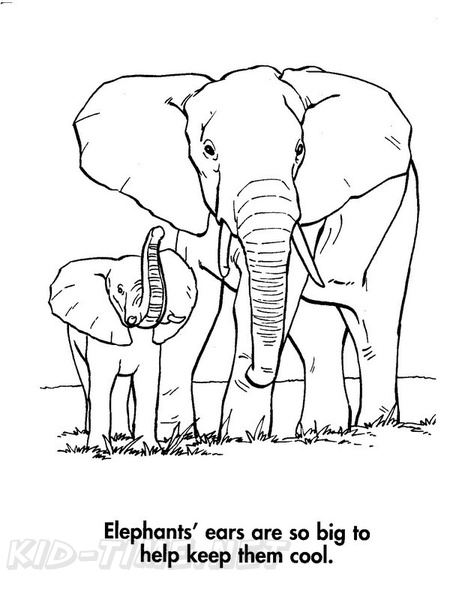 Baby_Elephant_Coloring_Pages_006.jpg