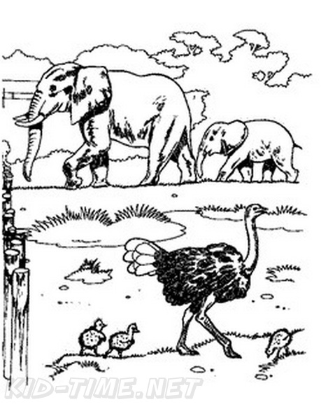 Baby_Elephant_Coloring_Pages_042.jpg