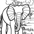 Elephant_Coloring_Pages_025.jpg