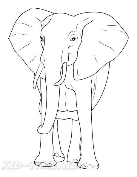 Elephant_Coloring_Pages_026.jpg