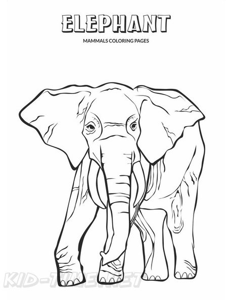Elephant_Coloring_Pages_199.jpg