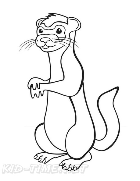 Ferret_Coloring_Pages_007.jpg