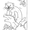 Ferret_Coloring_Pages_009.jpg