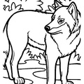Fox_Coloring_Pages_014.jpg