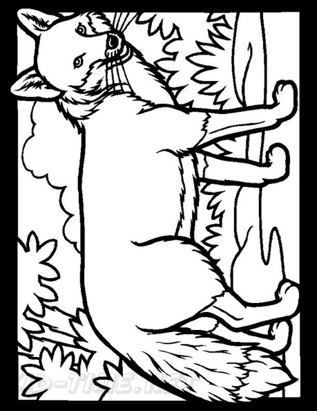 Fox_Coloring_Pages_016.jpg