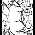 Fox_Coloring_Pages_016.jpg
